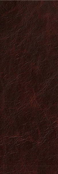 cuir sauvage bordeaux