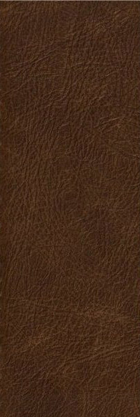 cuir sauvage camel