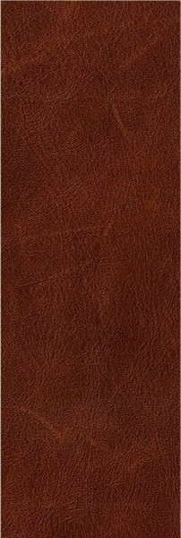 cuir sauvage cognac
