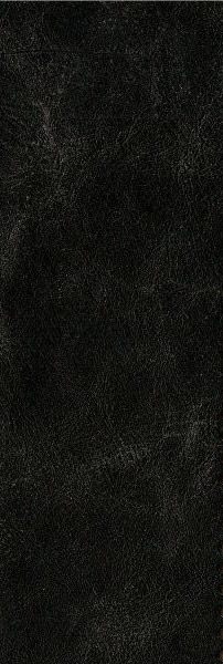 cuir sauvage noir
