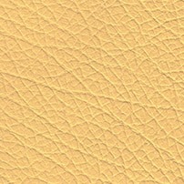 pelle buffalo giallo