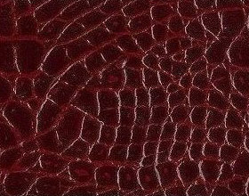 pelle pitone bordo
